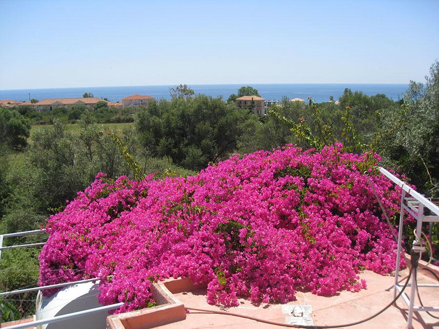 Paradise Studios Svoronata Bagian luar foto